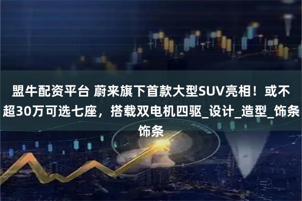 盟牛配资平台 蔚来旗下首款大型SUV亮相！或不超30万可选七座，搭载双电机四驱_设计_造型_饰条