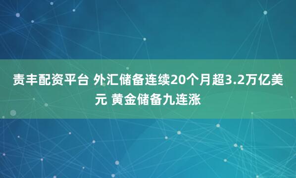 责丰配资平台 外汇储备连续20个月超3.2万亿美元 黄金储备九连涨