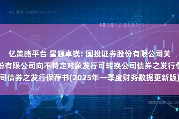亿策略平台 星源卓镁: 国投证券股份有限公司关于宁波星源卓镁技术股份有限公司向不特定对象发行可转换公司债券之发行保荐书(2025年一季度财务数据更新版)内容摘要